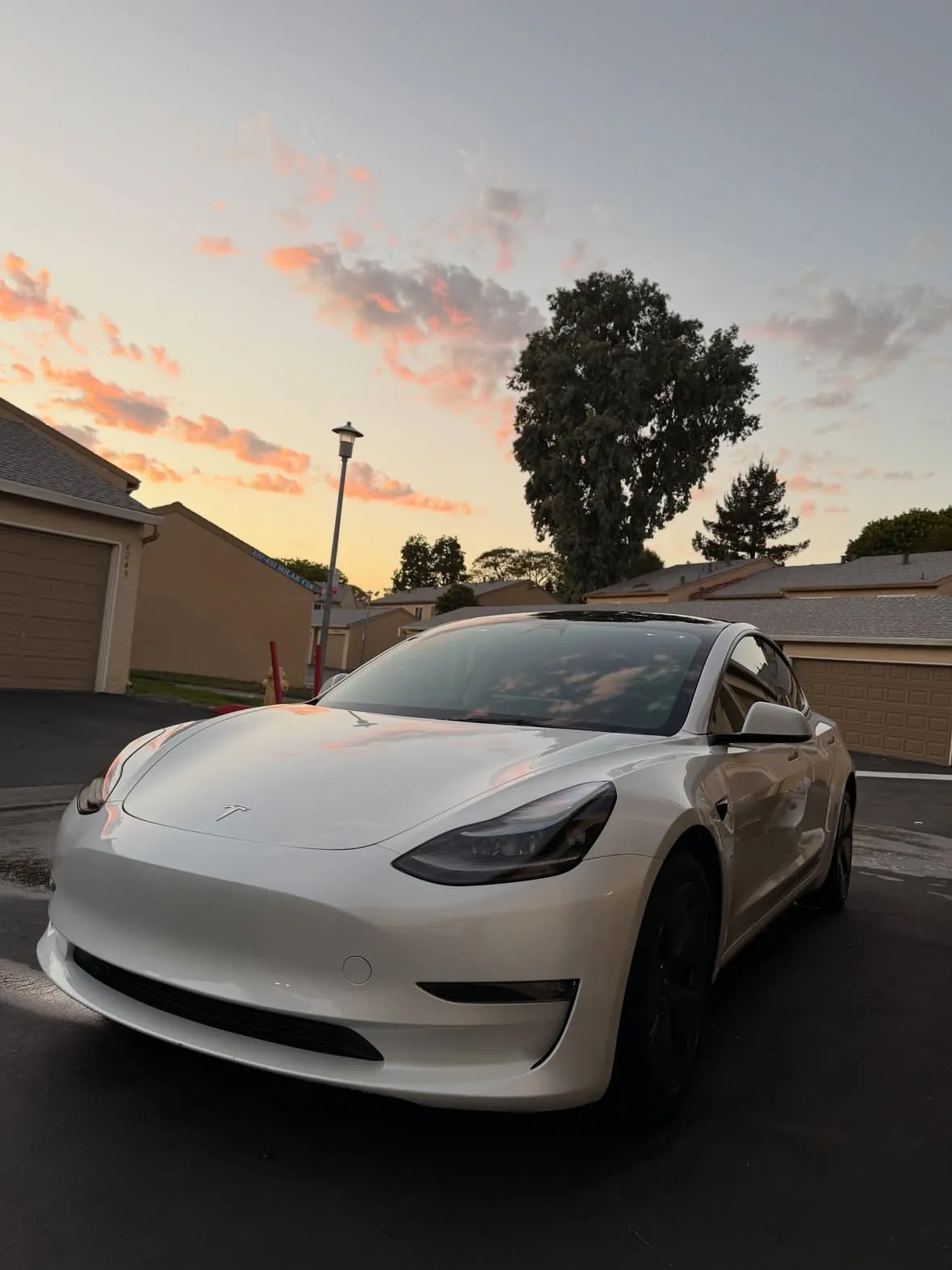White Tesla Model 3 glowing at sunset after a full detail